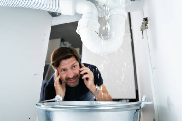 Best Water Softener Installation  in Sylvania, GA