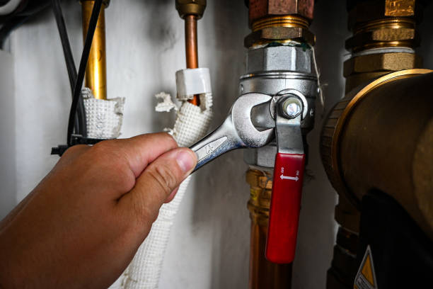 Best Clogged Drain Plumber  in Sylvania, GA